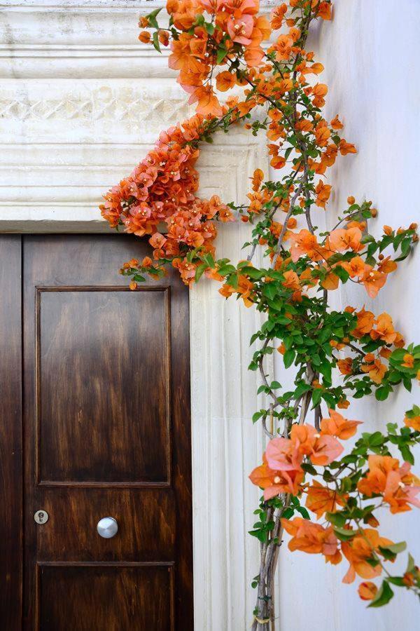 Il Giardino Bed & Breakfast Grottaglie Bagian luar foto